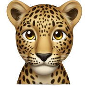 leopard gay sticker
