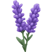 Lavender sticker