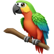 parrot sticker