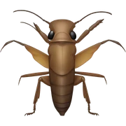 Mole cricket sticker