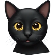 Black cat sticker