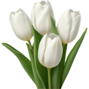 White tulips sticker