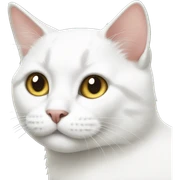 white cat sticker