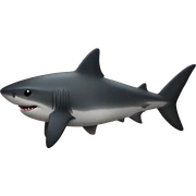 Black heart shark  sticker