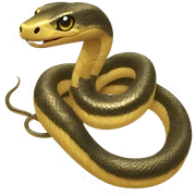 gold snake  sticker