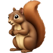 Squirrel sticker