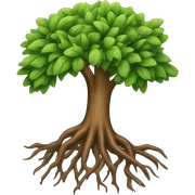 Root sticker