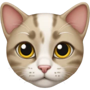 Kitty sticker