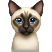  siamese cat sticker