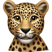 leopard heart sticker