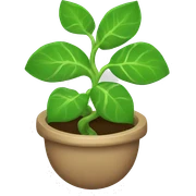 a money plant sticker