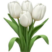 white tulips sticker