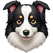 Border collie sticker