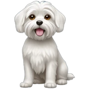 Maltese dog sticker