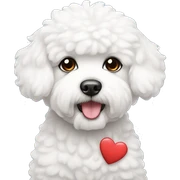 Bichon con corazones  sticker
