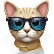 Cat with sunglasses sticker
