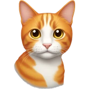 Orange cat with white neck sticker