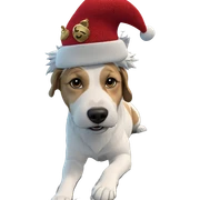 dog in santa hat indoors sticker