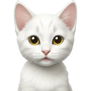 White kitten  sticker