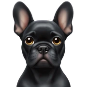 Black Frenchie layiny sticker