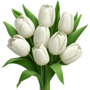 white tulip bouquet  sticker