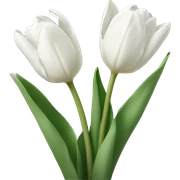white tulips  sticker