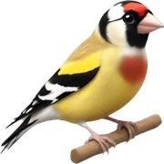 European goldfinch sticker