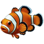 clown fish sticker