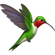Hummingbird  sticker