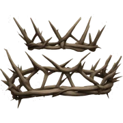 crown of thorns sticker