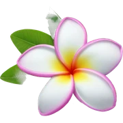 Plumeria  sticker