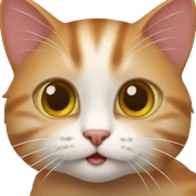 Gatito rojo  sticker