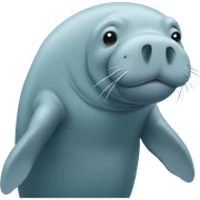 manatee sticker