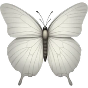 White Butterfly sticker