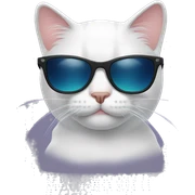 Cat with sunglasses sticker