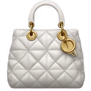 dior bag sticker