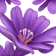 Purple sticker