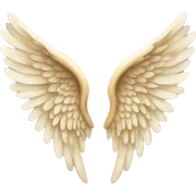 Angel wings  sticker