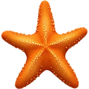 Starfish sticker