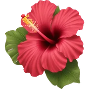 Hibiscus  sticker