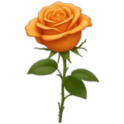 Orange-rose sticker