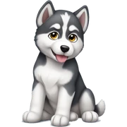 Husky puppy sitting  sticker