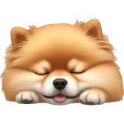 Sleeping pomeranian sticker
