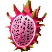 Dragon fruit  sticker