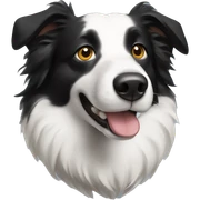Border Collie  sticker