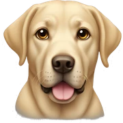Labrador sticker