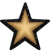 Black glittery star sticker