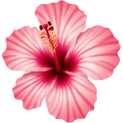 Hibiscus flower sticker