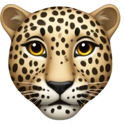 Leopard sticker