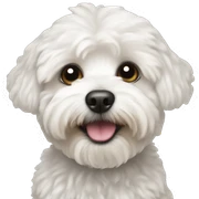 White Maltipoo sticker